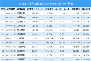 2024年上半年中國新能源發(fā)電行業(yè)上市公司業(yè)績排行榜（附榜單）