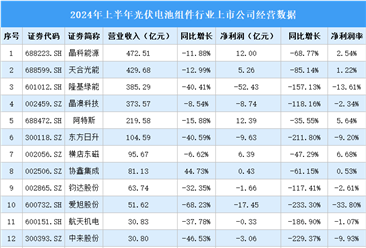 2024年上半年中国光伏电池组件行业上市公司业绩排行榜（附榜单）