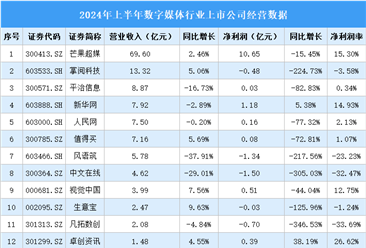 2024年上半年中国数字媒体行业上市公司业绩排行榜（附榜单）