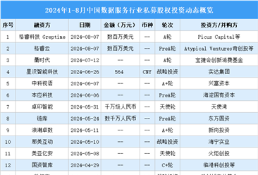 2024年1-8月中国数据服务行业私募股权投资盘点（附投融资事件汇总）