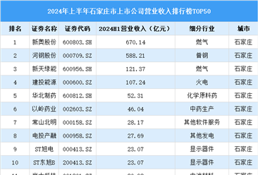 2024年上半年石家庄市上市公司营业收入排行榜（附榜单）