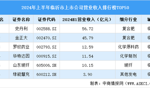 2024年上半年临沂市上市公司营业收入排行榜（附榜单）