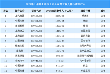 2024年上半年上海市上市公司营业收入排行榜（附榜单）