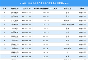 2024年上半年乌鲁木齐市上市公司营业收入排行榜（附榜单）