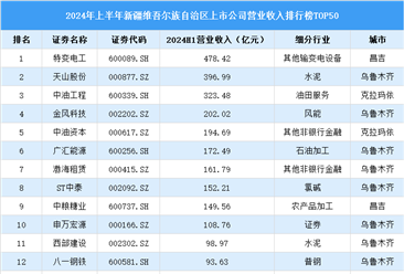 2024年上半年新疆维吾尔族自治区上市公司营业收入排行榜（附榜单）