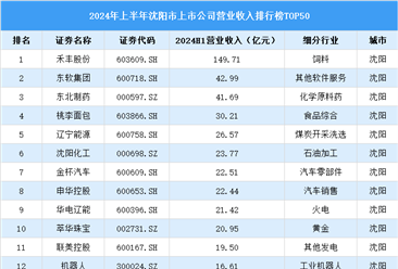 2024年上半年沈阳市上市公司营业收入排行榜（附榜单）