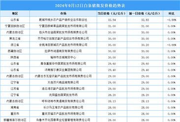 2024年9月13日全国各地最新白条猪价格行情走势分析