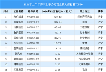 2024年上半年济宁市上市公司营业收入排行榜（附榜单）