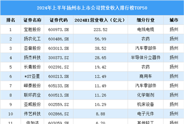 2024年上半年扬州市上市公司营业收入排行榜（附榜单）