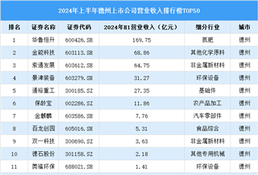 2024年上半年德州市上市公司营业收入排行榜（附榜单）