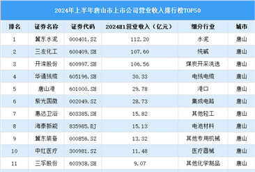 2024年上半年唐山市上市公司营业收入排行榜（附榜单）