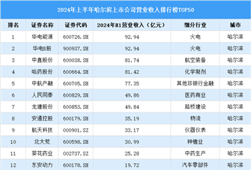 2024年上半年哈尔滨市上市公司营业收入排行榜（附榜单）