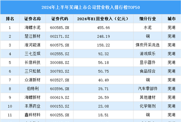 2024年上半年芜湖市上市公司营业收入排行榜（附榜单）