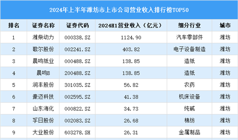 2024年上半年潍坊市上市公司营业收入排行榜（附榜单）