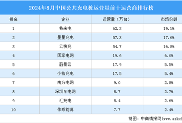 2024年8月中国公共充电桩运营量前十运营商排行榜（附榜单）