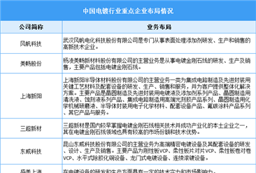 2024年中国电镀行业市场规模预测及重点企业布局分析（图）