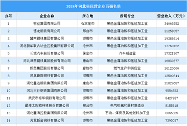 2024年河北省民營企業(yè)百強(qiáng)名單（附榜單）