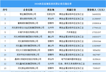 2024年河北省制造業(yè)民營企業(yè)百強名單（附榜單）