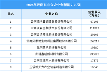 2024年云南省非公企業(yè)創(chuàng)新能力20強(qiáng)企業(yè)名單（附榜單）