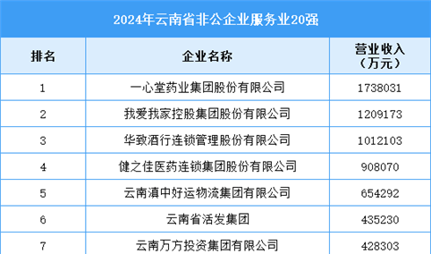 2024年云南省非公企业服务业20强企业名单（附榜单）