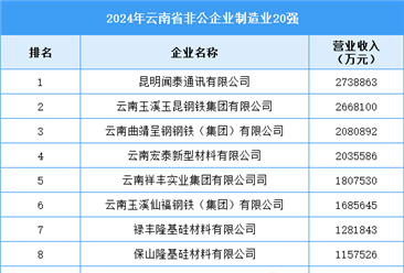 2024年云南省非公企业制造业20强企业名单（附榜单）