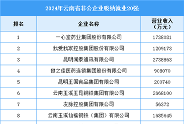 2024年云南省非公企業(yè)吸納就業(yè)20強企業(yè)名單（附榜單）