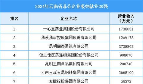 2024年云南省非公企业吸纳就业20强企业名单（附榜单）