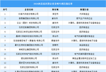 2024年河北省民營企業(yè)發(fā)明專利百強(qiáng)名單（附榜單）