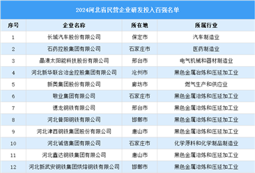 2024年河北省民營企業(yè)研發(fā)投入百強(qiáng)名單（附榜單）