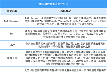 2024年中国刻蚀机市场现状及重点企业预测分析（图）