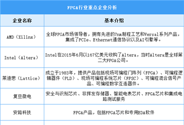 2024年中國FPGA市場規(guī)模及重點(diǎn)企業(yè)預(yù)測分析（圖）