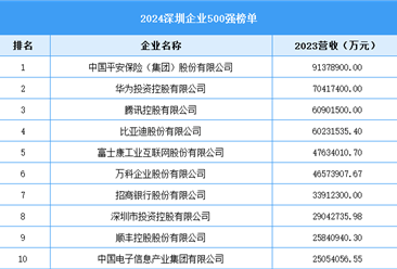 2024深圳企業(yè)500強（附榜單）