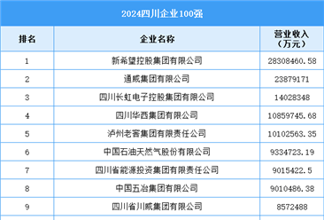 2024四川企業(yè)100強（附榜單）