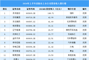 2024年上半年沈阳市上市公司营业收入排行榜（附榜单）