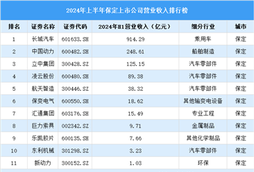 2024年上半年保定市上市公司营业收入排行榜（附榜单）