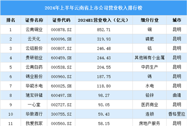 2024年上半年云南省上市公司营业收入排行榜（附榜单）