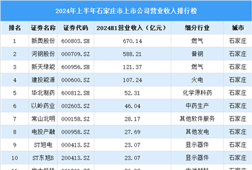 2024年上半年石家庄市上市公司营业收入排行榜（附榜单）