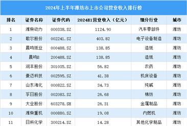 2024年上半年潍坊市上市公司营业收入排行榜（附榜单）