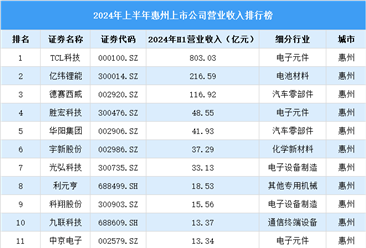 2024年上半年惠州市上市公司营业收入排行榜（附榜单）