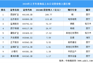 2024年上半年青海省上市公司营业收入排行榜（附榜单）