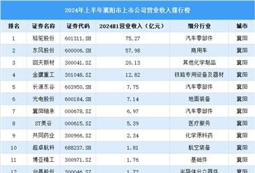 2024年上半年襄阳市上市公司营业收入排行榜（附榜单）