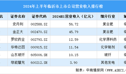 2024年上半年临沂市上市公司营业收入排行榜（附榜单）