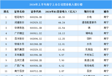 2024年上半年南宁市上市公司营业收入排行榜（附榜单）