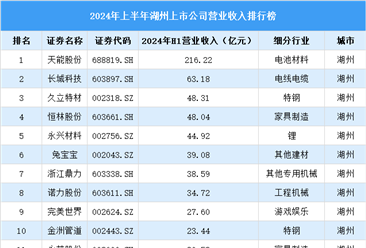 2024年上半年湖州市上市公司营业收入排行榜（附榜单）