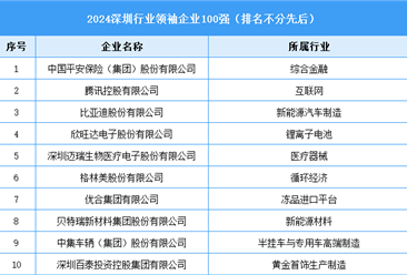 2024深圳行業(yè)領(lǐng)袖企業(yè)100強(qiáng)（附名單）