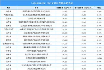 2024年10月12日全国各地最新白条猪价格行情走势分析