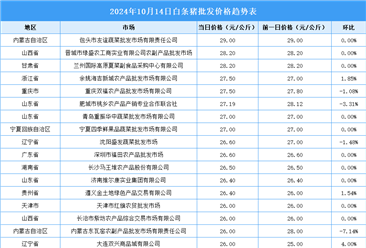 2024年10月15日全国各地最新白条猪价格行情走势分析