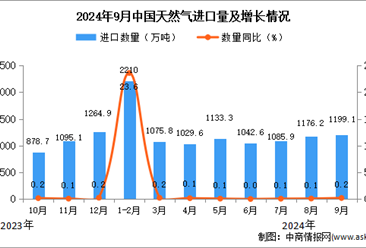 2024年9月中国天然气进口数据统计分析：进口量同比增长0.2%