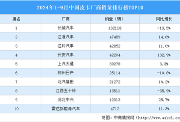 2024年1-9月中國(guó)皮卡廠商銷量排行榜TOP10（附榜單）