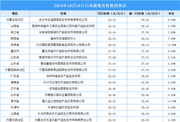 2024年10月17日全国各地最新白条猪价格行情走势分析